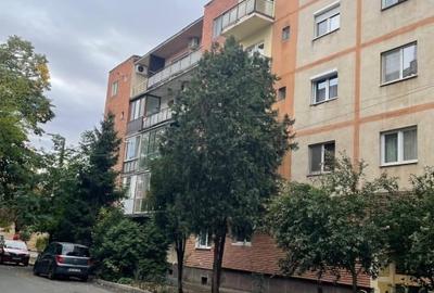 Apartament cu 3 camere decomandat, mobilat în Micălaca