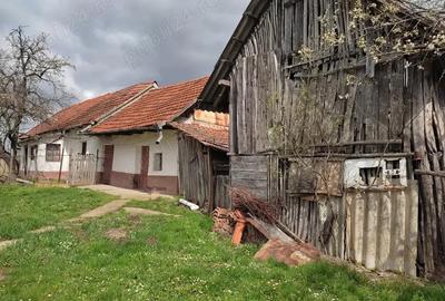 Casă cu 2 camere în Cetariu - 3