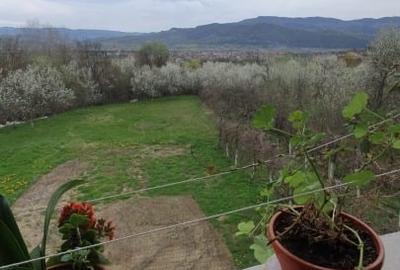 Casă individuală cu 4 camere cu Teren 6400 Mp în Seaca (Călimănești) - 5