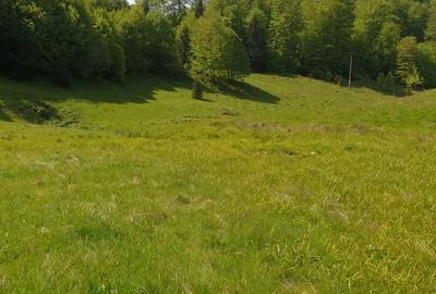 Teren de 1000 mp, în Dâmbovicioara - 1