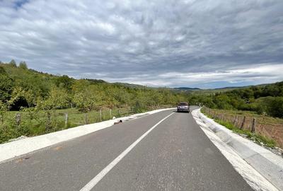Teren Construcții intravilan de 9800 mp, în Runcu - 9