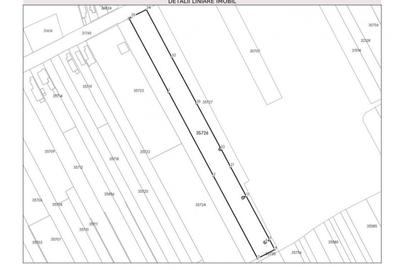 Teren Construcții intravilan de 7500 mp, în Ogrezeni - 4