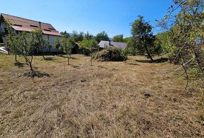 Teren de 1512 mp, în Fedeleșoiu - 8