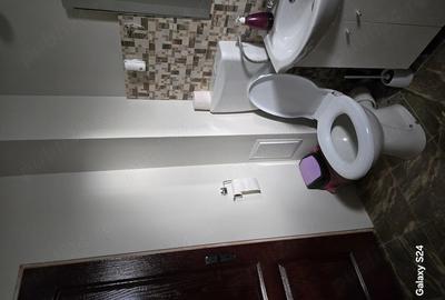 Apartament cu 2 camere decomandat în Remetea Mare - 3
