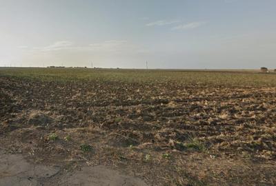 Teren intravilan de 1100 mp, în 23 August