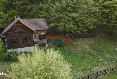 Casă cu 4 camere în Ighiel - 16