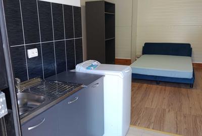 Garsonieră semidecomandată în Central - 5