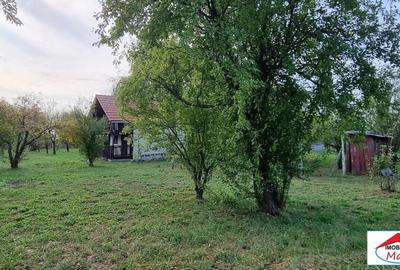 Teren Construcții intravilan de 5700 mp, în Decebal - 6