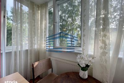 Apartament cu 2 camere semidecomandat în Astra - 11