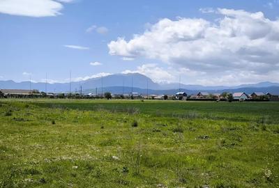 Teren de 588 mp, în Cristian - 3