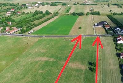 Teren agricol intravilan de 9900 mp, în Tohanu Nou - 3