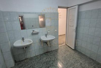 Spațiu industrial, de 3,700 mp, în Theodor Pallady - 6