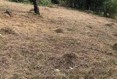 Teren în Geoagiu-Băi - 1