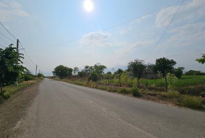 Teren Construcții intravilan de 5465 mp, în Topraisar - 5