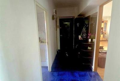 Apartament cu 3 camere decomandat, mobilat în Noua - 5