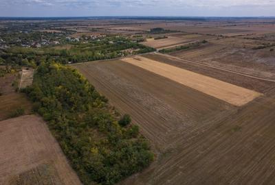 Teren Construcții intravilan de 15279 mp, în Periș