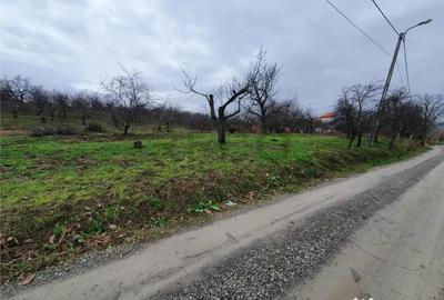 Teren de 3989 mp, în Central - 7
