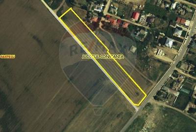 Teren Construcții intravilan de 8000 mp, în Castelu - 3