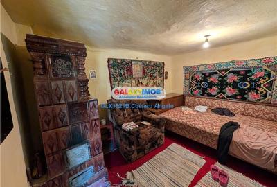 Casă cu 3 camere cu Teren 3000 Mp în Lipia