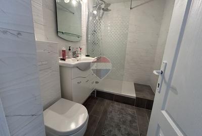 Apartament cu 3 camere decomandat în Vasile Alecsandri - 10
