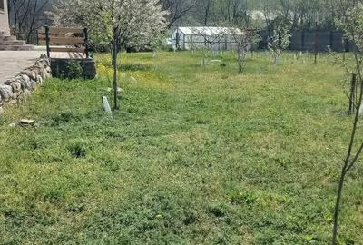 Casă cu Teren 2800 Mp în Aldeni - 5