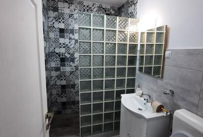 Apartament cu 2 camere decomandat în Govândari - 4