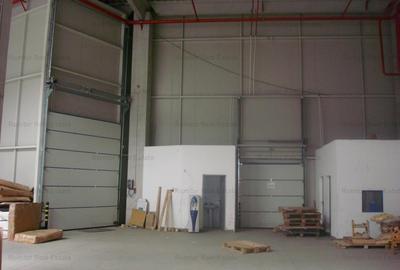 Spațiu industrial, de 700 mp, în Mogoșoaia - 2