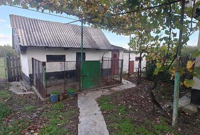 Casă cu Teren 5500 Mp în Central