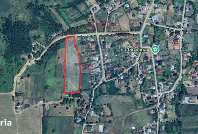 Teren de 8841 mp, în Miroslava