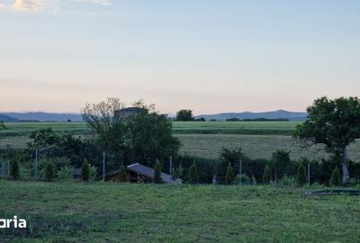 Teren de 840 mp, în Vernești - 5