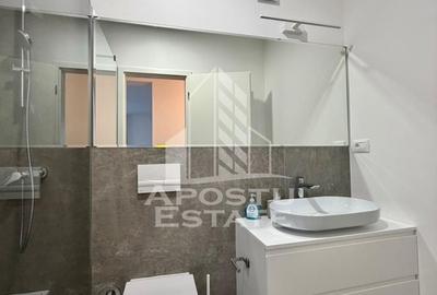 Apartament cu 2 camere semidecomandat, mobilat în Dumbrăvița - 9