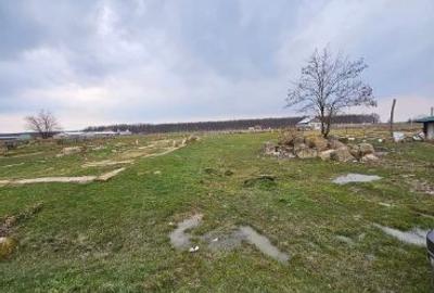 Teren Construcții intravilan de 2700 mp, în Miersig - 8