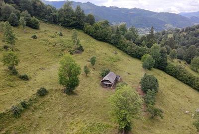 Teren de 30000 mp, în Șanț