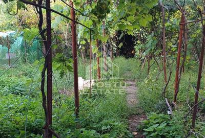 Casă cu 3 camere cu Teren 497 Mp în Freidorf