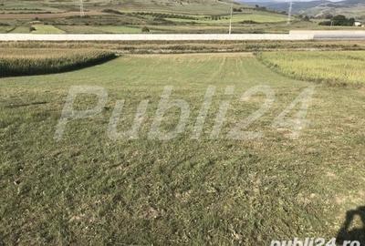 Teren de 5500 mp, în Stejeriș - 5