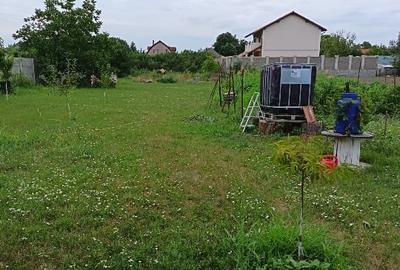 Teren Construcții intravilan de 900 mp, în Săcălaz - 3