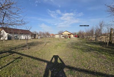 Casă cu 3 camere cu Teren 1259 Mp în Mihail Kogălniceanu - 3