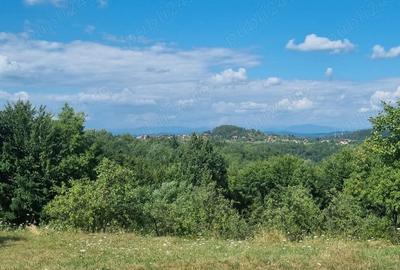 Teren în Milcoiu - 2