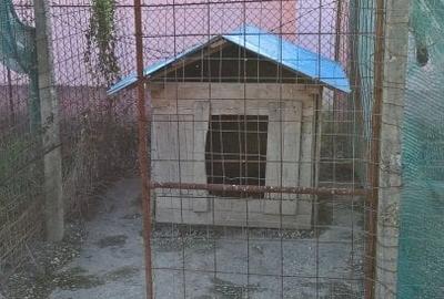 Casă cu 3 camere cu Teren 5002 Mp în Butimanu - 5