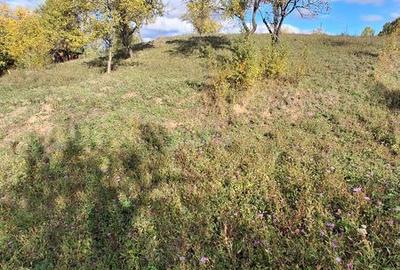 Teren de 6800 mp, în Berislăvești - 8