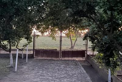Casă cu 6 camere cu Teren 3000 Mp în Jimbolia - 2