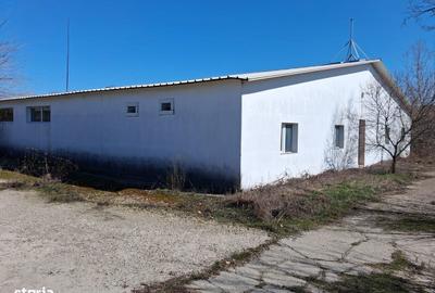 Spațiu comercial, de 1,200 mp, în Brădești - 3