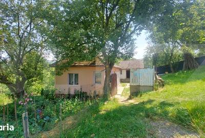 Casă cu 2 camere cu Teren 4000 Mp în Barcani - 3