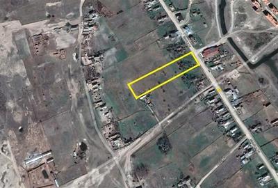 Teren Construcții intravilan de 6000 mp, în Caraorman - 1