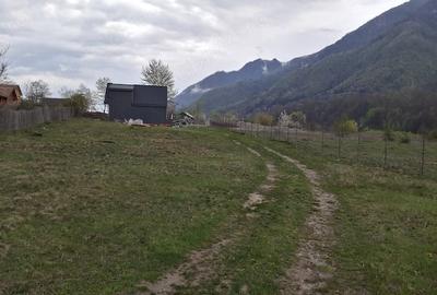 Teren de 1000 mp, în Malaia - 1