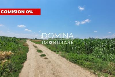 Teren Construcții intravilan de 3504 mp, în Bălești
