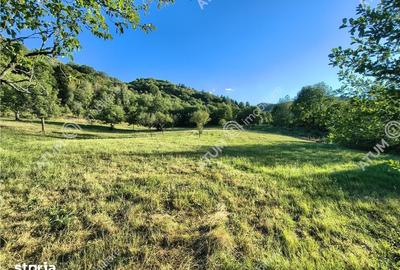 Teren de 1200 mp, în Central