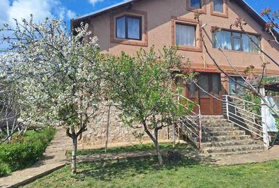 Casă cu Teren 2665 Mp în Caracal - 3