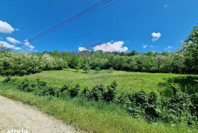 Teren de 2853 mp, în Urechești - 13