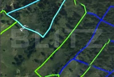 Teren extravilan de 14200 mp, în Poiana Ilvei